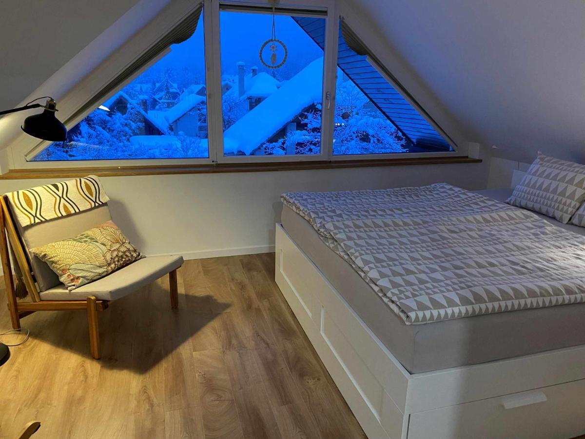Apartmán Zidana Marela - Attic With A View